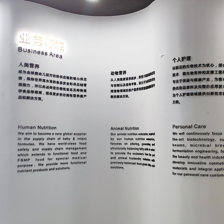 企业文化墙-企业荣誉
